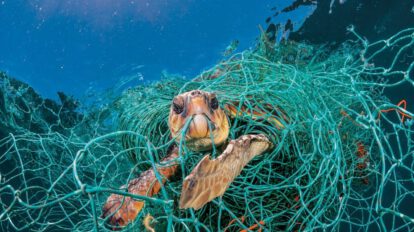 Contaminación en los océanos y su impacto en el ecosistema marino