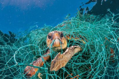 Contaminación en los océanos y su impacto en el ecosistema marino