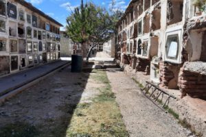 Covid-19 en Bolivia: casi un centenar de muertos y más de 3 mil infectados