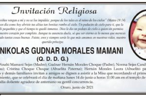 Bebé Nikolas Gudnar Morales Mamani
