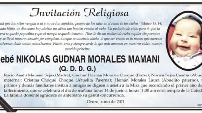 Bebé Nikolas Gudnar Morales Mamani