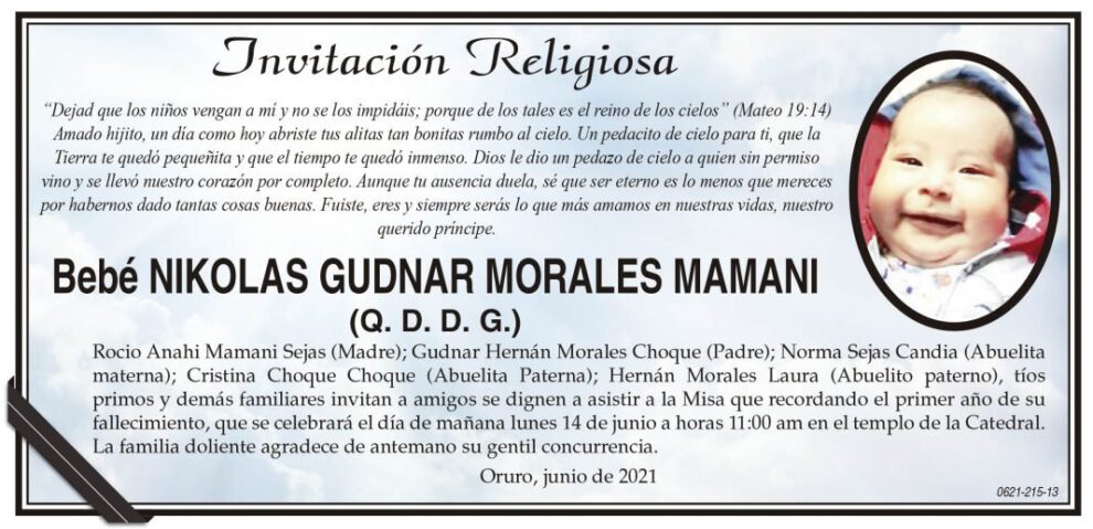 Bebé Nikolas Gudnar Morales Mamani