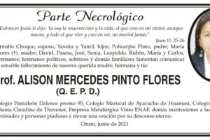 Lic. Prof. Alison Mercedes Pinto Flores Q. E. P. D.