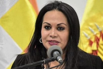 Roxana Lizárraga declara sobre el caso gases lacrimógenos