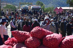 Cupo de importación de hortalizas