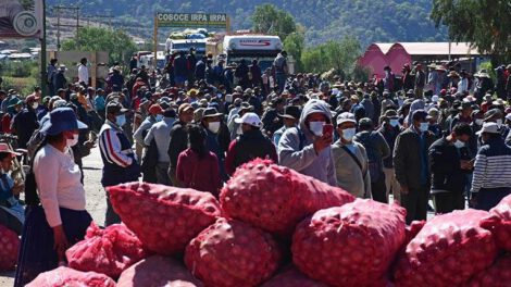 Cupo de importación de hortalizas