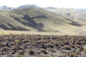 Plan de Contingencia para sequía en municipios orureños