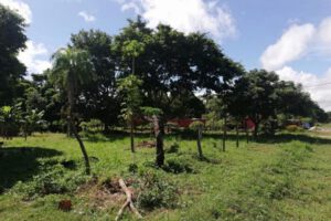 Compra irregular de terrenos en Warnes