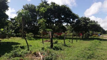 Compra irregular de terrenos en Warnes