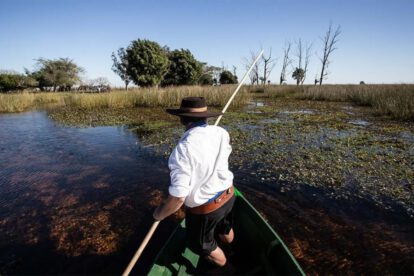 Safaris en los Esteros de Iberá, una experiencia única en la naturaleza