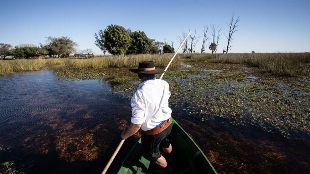 Safaris en los Esteros de Iberá, una experiencia única en la naturaleza