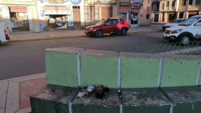 Cadáveres de cachorros encontrados en Oruro
