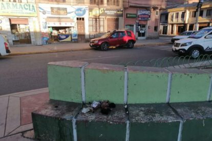 Cadáveres de cachorros encontrados en Oruro