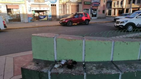 Cadáveres de cachorros encontrados en Oruro