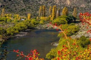 Bariloche, un destino perfecto para visitar todo el año