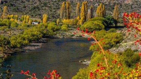 Bariloche, un destino perfecto para visitar todo el año