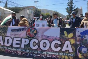Adepcoca elecciones
