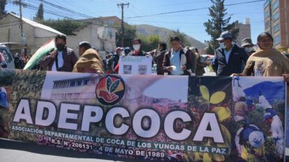 Adepcoca elecciones