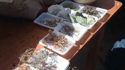 La medicina natural y la científica fueron socializadas en Caracollo