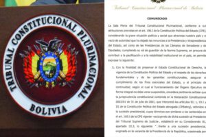 Comunicado sobre la sucesión de Añez como Presidente