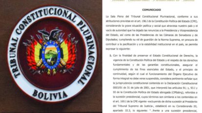 Comunicado sobre la sucesión de Añez como Presidente