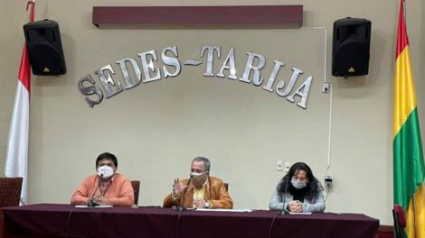 Variantes del Covid-19 en Tarija confirmadas por el Sedes