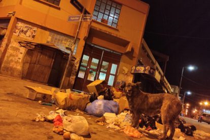 Acumulación de basura en el mercado Bolívar