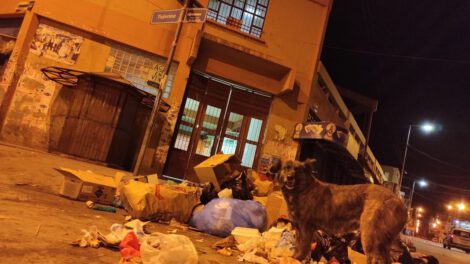 Acumulación de basura en el mercado Bolívar