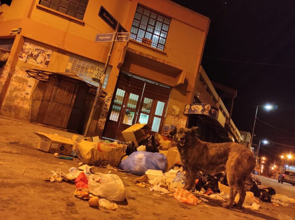 Acumulación de basura en el mercado Bolívar