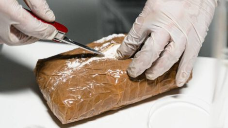 Cocaína en Holanda interceptada en contenedor procedente de Ecuador