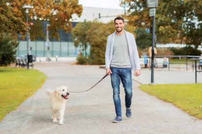 Ordenanza Municipal para la protección de animales en Burgos