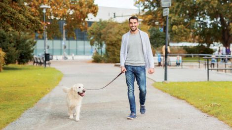 Ordenanza Municipal para la protección de animales en Burgos