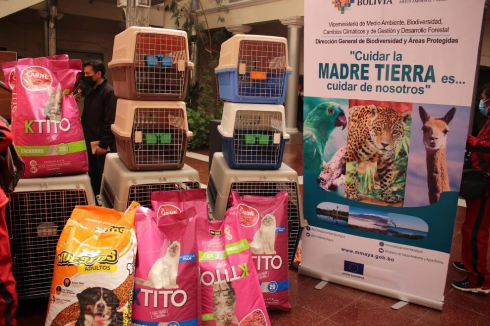 Tráfico de vida silvestre