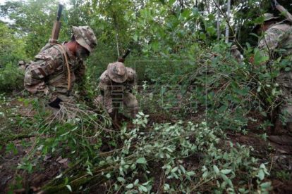 Erradicación de hoja de coca en zonas no autorizadas