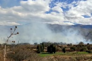 Incendio forestal en Tarija