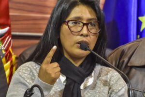 Proyecto de Ley para nuevas Elecciones Nacionales presentado por Eva Copa