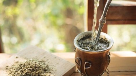 Infusión de Yerba Mate en la Ruta de la Yerba Mate