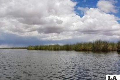 Producción de totora en Oruro