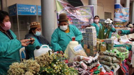 Promueven el uso de la medicina tradicional