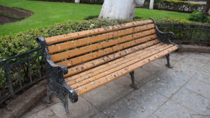 Heces de paloma en Plaza Castro y Padilla