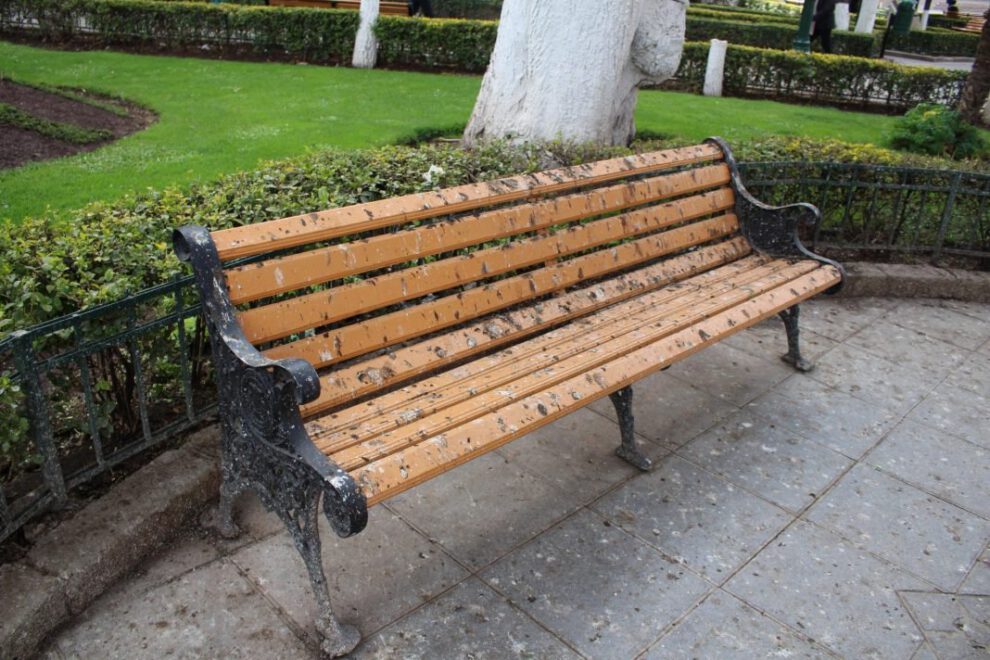 Heces de paloma en Plaza Castro y Padilla