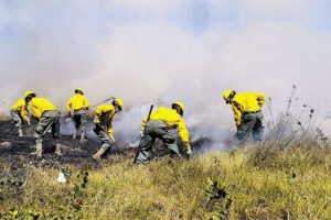 Incendios forestales en Santa Cruz