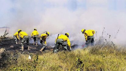 Incendios forestales en Santa Cruz