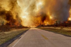 Incendio forestal en Roboré