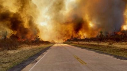 Incendio forestal en Roboré