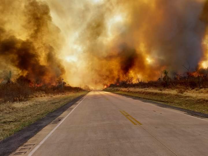 Incendio forestal en Roboré