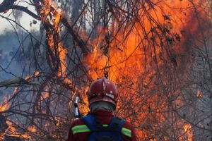 Incendios forestales en San Matías y Roboré