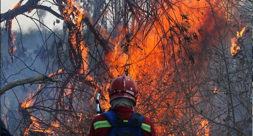 Incendios forestales en San Matías y Roboré