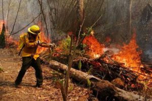 Incendios forestales en Santa Cruz