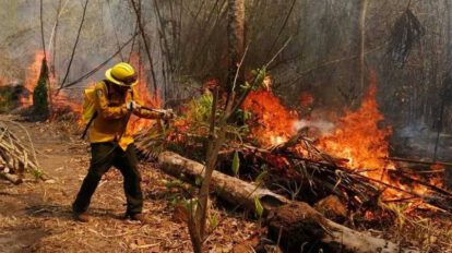 Incendios forestales en Santa Cruz